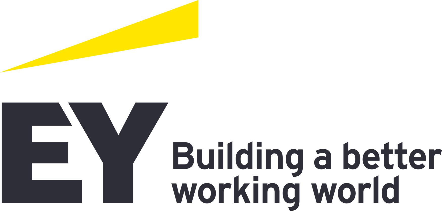 CÔNG TY TNHH ERNST & YOUNG VIỆT NAM