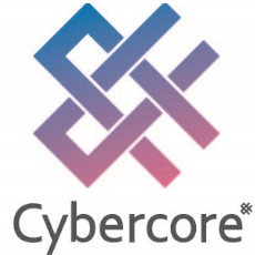 CÔNG TY TNHH CYBER CORE VIỆT NAM