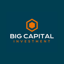 CÔNG TY CỔ PHẦN BIG CAPITAL - VĂN PHÒNG ĐẠI DIỆN THÀNH PHỐ HỒ CHÍ MINH