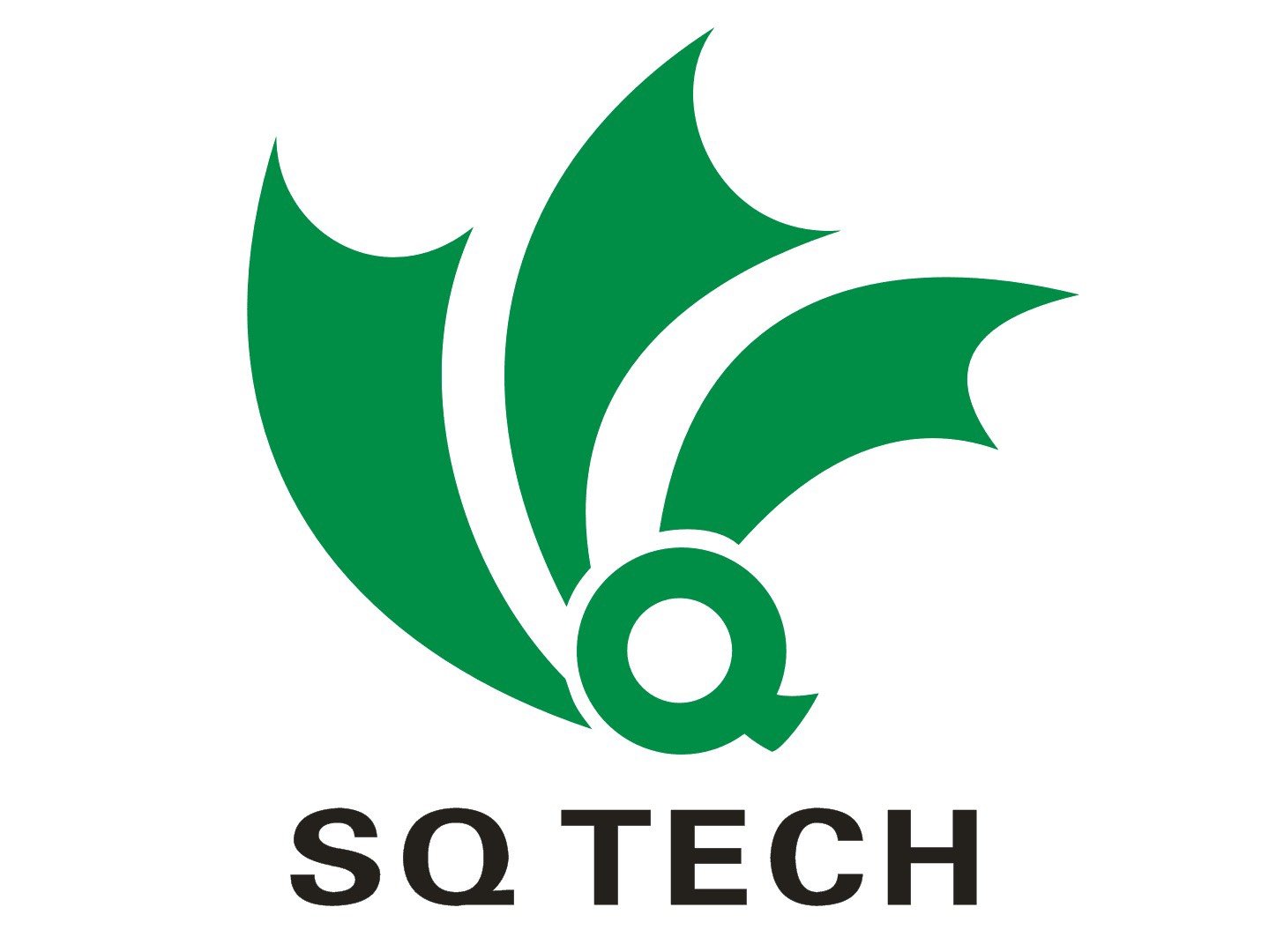 CÔNG TY TNHH CÔNG NGHỆ & KỸ THUẬT SAN QING VIỆT NAM