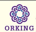 CÔNG TY TNHH ORKING VN